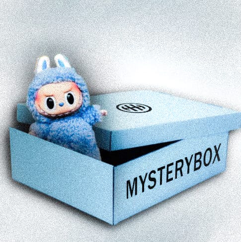 Labubu Box