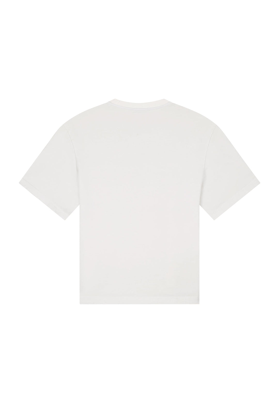 NLT Graphic Tee - Washed White