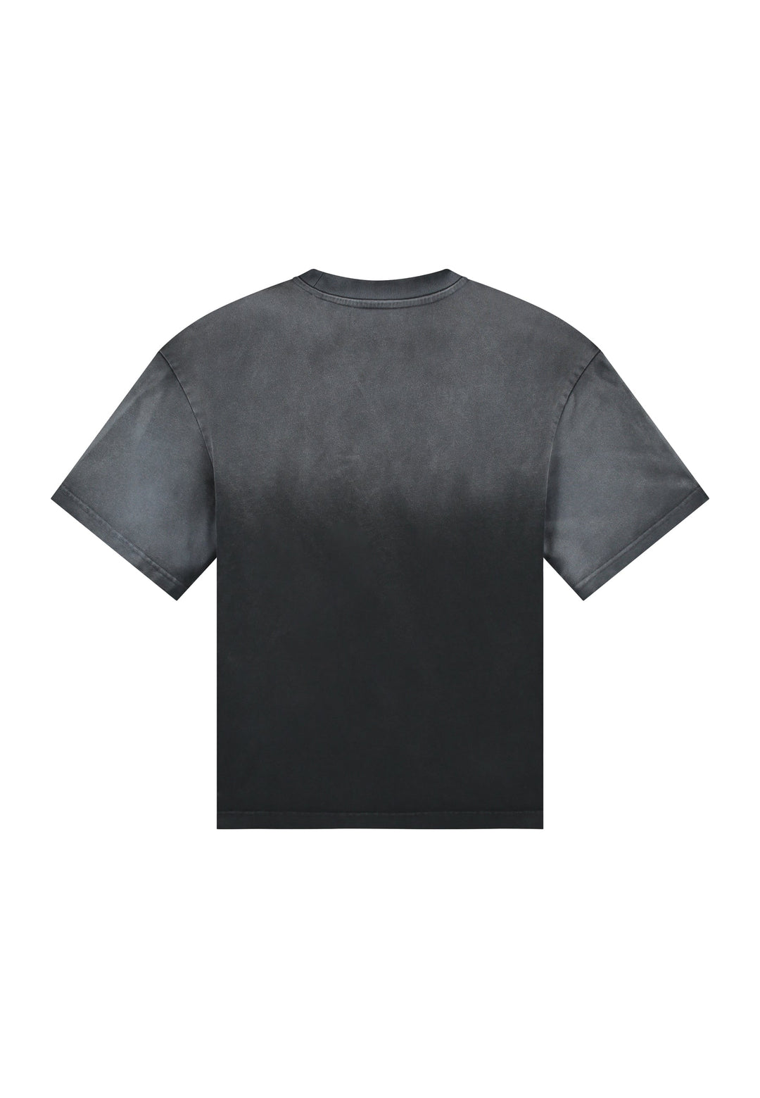NLT Graphic Tee - Washed Black
